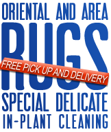 oriental rug cleaning North D St